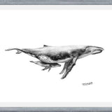 Cuadro Ballenas Jorobadas
