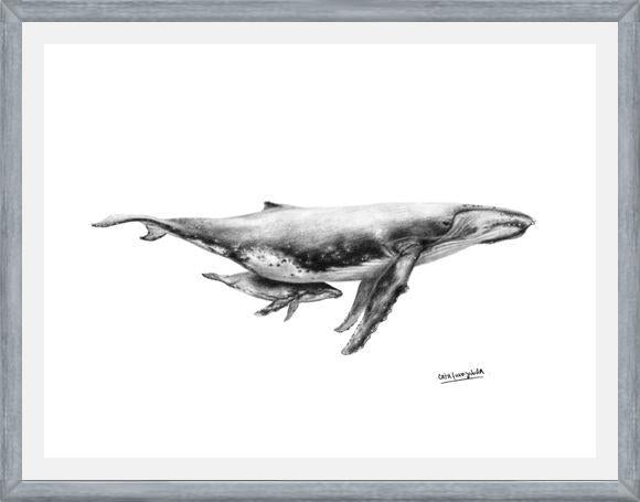 Cuadro Ballenas Jorobadas