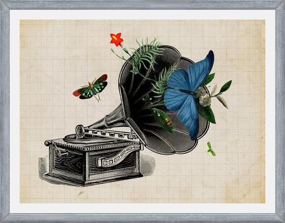 Cuadro Gramophone Vintage