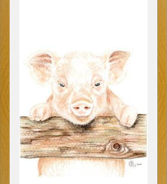 Cuadro cerdito