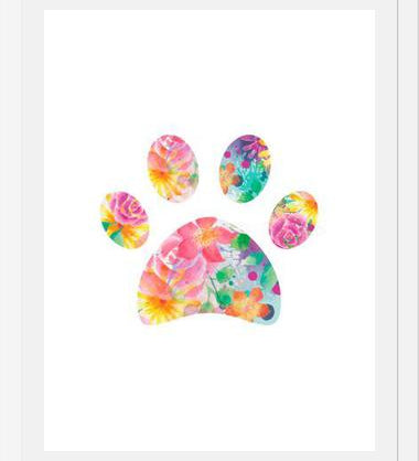Cuadro Floral Paw