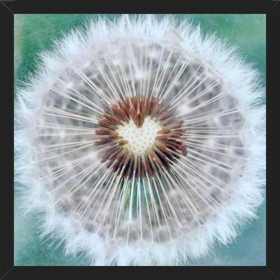 Cuadro Dandy Heart