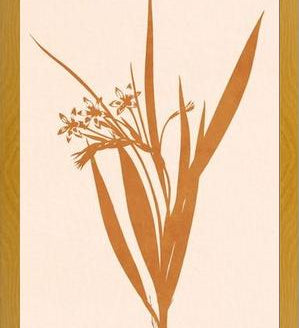 Cuadro Minimal plant - gold
