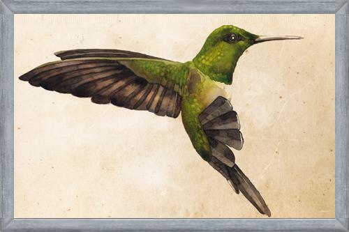 Cuadro Colibrí Verde Acuarela
