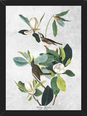 Cuadro Botanical print