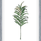 Cuadro Hoja Palma