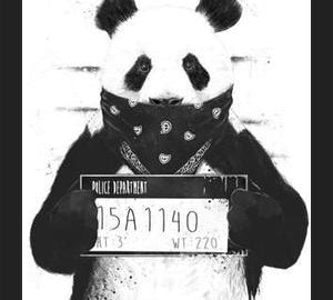 Cuadro Bad Panda