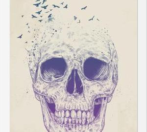 Cuadro Let them Fly