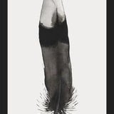 Cuadro Pluma Acuarela 2