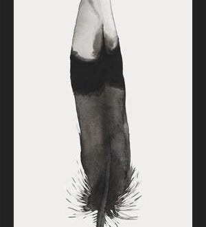Cuadro Pluma Acuarela 2