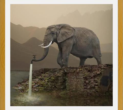 Cuadro Hydrant