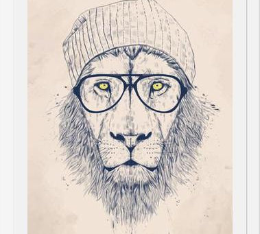 Cuadro Cool lion