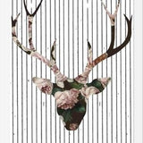 Cuadro Deer in Bloom