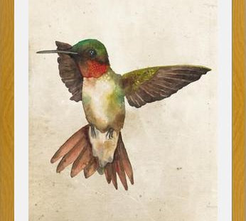 Enmarcado Colibrí Acuarela