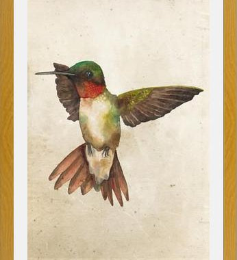 Enmarcado Colibrí Acuarela