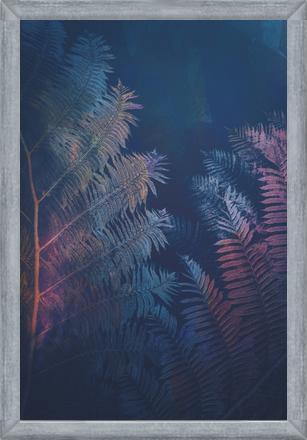 Cuadro Abstract Fern