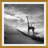 Cuadro Giraffes