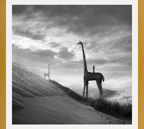 Cuadro Giraffes