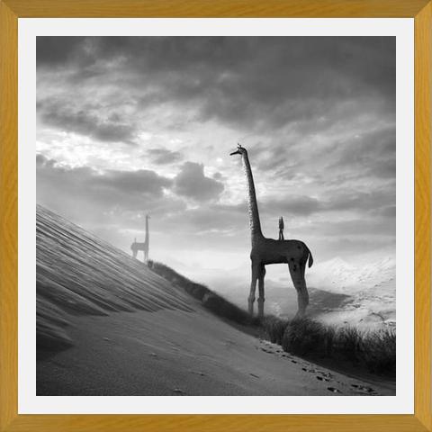 Cuadro Giraffes
