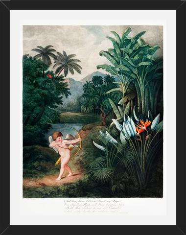 Cuadro Cupido