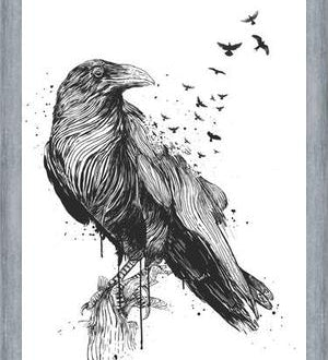 Cuadro Born to be free (bw)