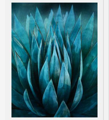 Cuadro Blue Succulent