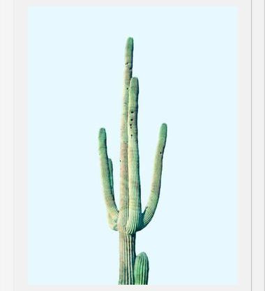 Cuadro Loner Cactus