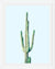 Cuadro Loner Cactus