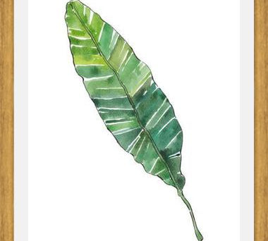 Cuadro HOJA DE PLATANO