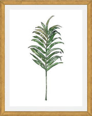 Cuadro Hoja Palma