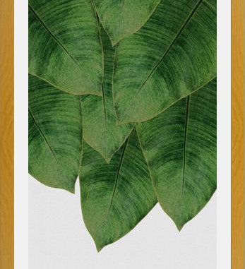 Cuadro Banana Leaf III