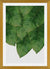 Cuadro Banana Leaf III