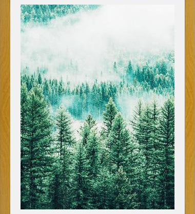 Cuadro Forest and Fog