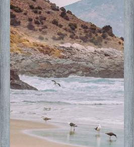 Cuadro Papudo, Chile