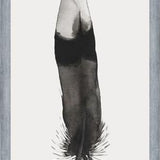 Cuadro Pluma Acuarela 2