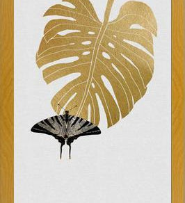 Cuadro Butterfly and Monstera Leaf
