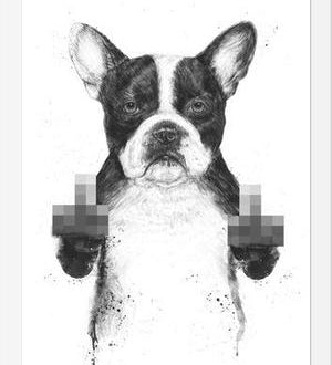 Cuadro Censored dog