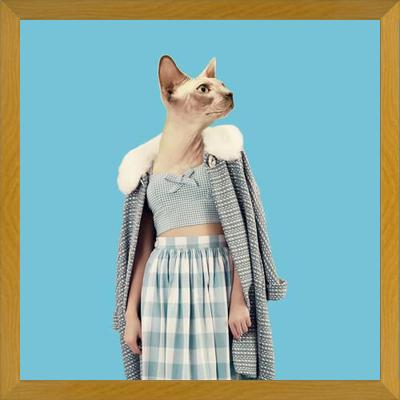 Cuadro Cat