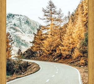 Cuadro Snow and Golden Pine