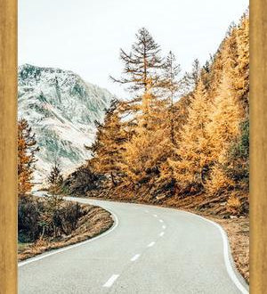 Cuadro Snow and Golden Pine