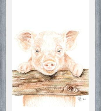 Cuadro cerdito