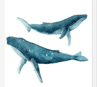 Cuadro Ballenas