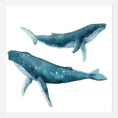 Cuadro Ballenas