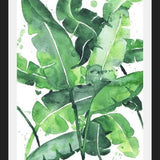 Cuadro Tropical Green 2