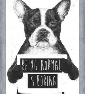 Cuadro Being normal is Boring