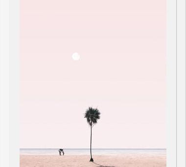 Cuadro La Palmera