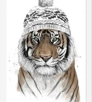 Cuadro Siberian Tiger