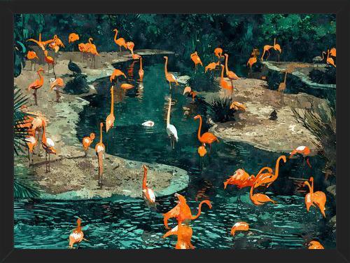 Cuadro Flamingo Creek