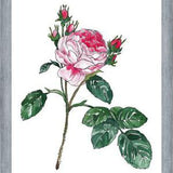Cuadro Rosa I