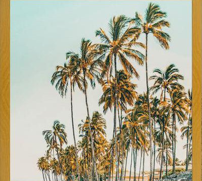 Cuadro Island Life III